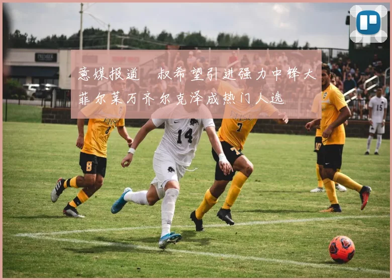 意媒报道囧叔希望引进强力中锋大菲尔莱万齐尔克泽成热门人选
